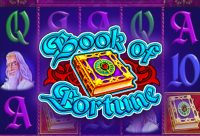 Игровой автомат Book of Fortune