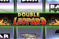 Игровой автомат Double Leopard