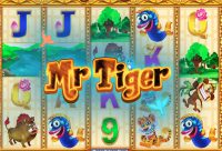 Игровой автомат Mr Tiger