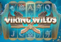 Игровой автомат Viking Wilds